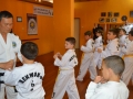 photo11